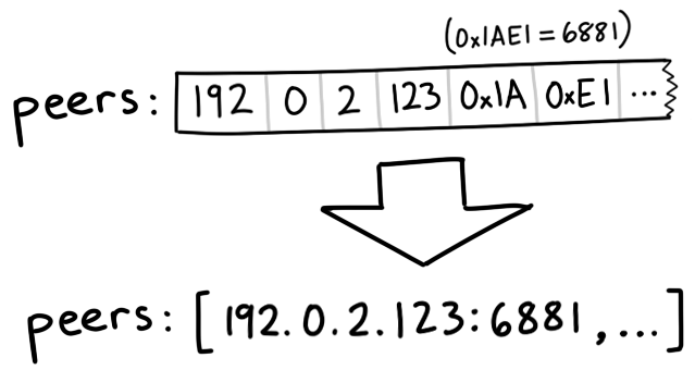 diagram showing how 192, 0, 2, 123, 0x1A, 0xE1 can be interpreted as 192.0.1.123:6881